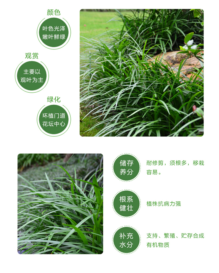 中国园林分类,中国园林分类三大园林体系