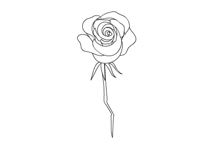 如何画玫瑰花的简笔画,如何画玫瑰花的简笔画图片